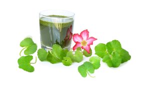 From Ancient Herb to Modern Skincare: The Journey of Centella Asiatica Extracts